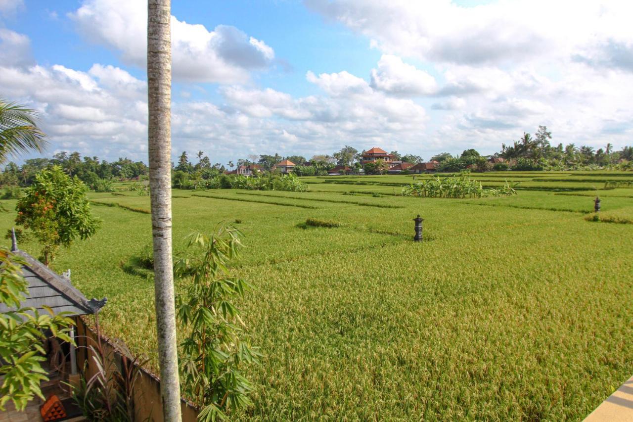 Kubu Sari Ubud Exterior foto